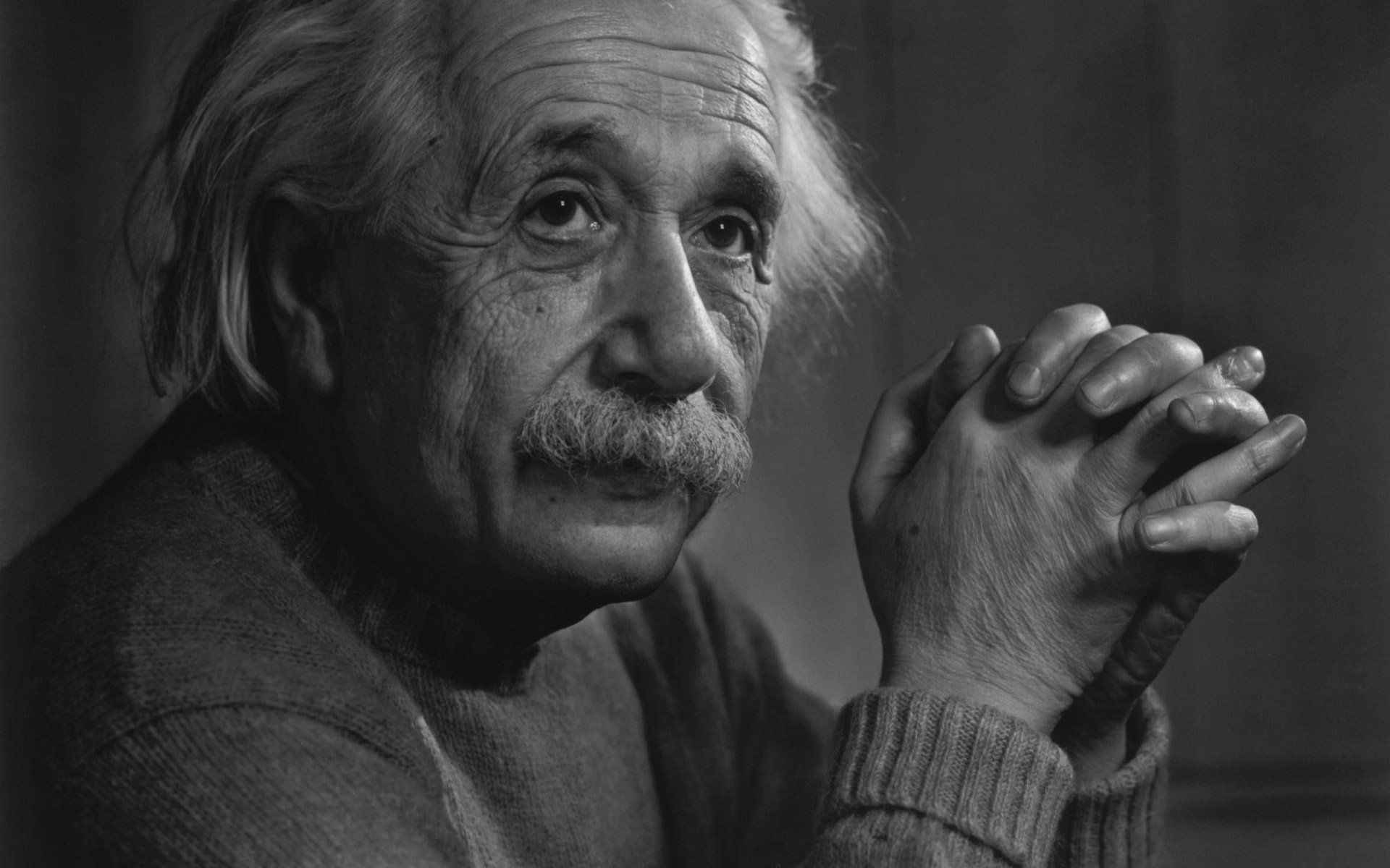 Albert Einstein—Theoretical Physicist