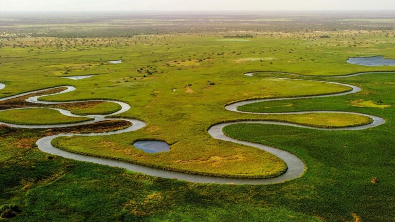 The Okavango Delta, Botswana